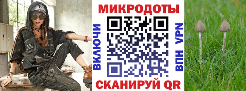 купить  цена  Черепаново  Псилоцибиновые грибы Cubensis 